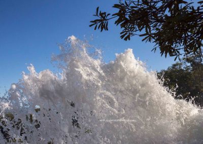 Water Detail (1)