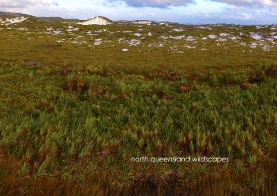 Cape Bedford (1)