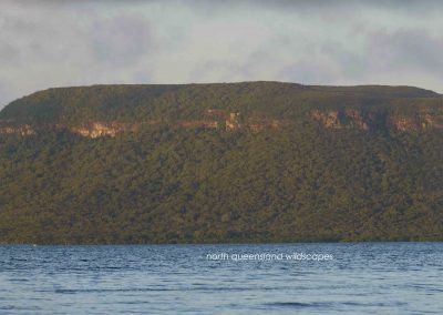 Cape Bedford (11)