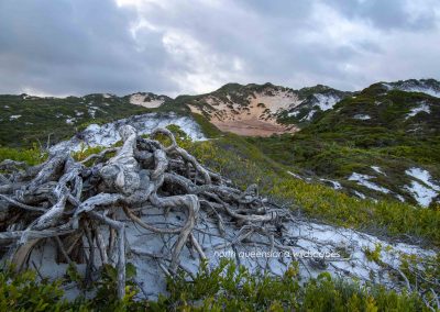 Cape Flattery Dunes 2