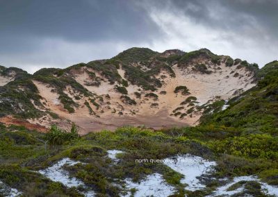 Cape Flattery Dunes