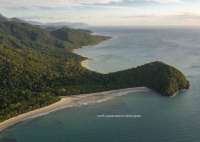 Cape Tribulation 1