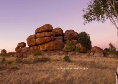 Devils Marbles (6)