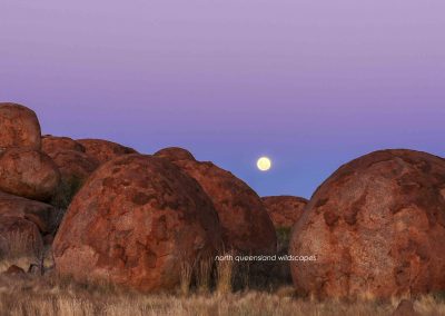 Devils Marbles (7)