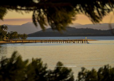 Dunk Island (3)