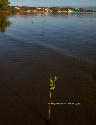 Elim Beach (15)