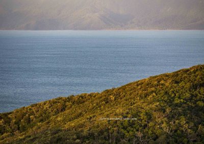 Fitzroy Island (11)