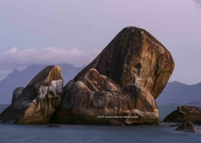 Garden Island