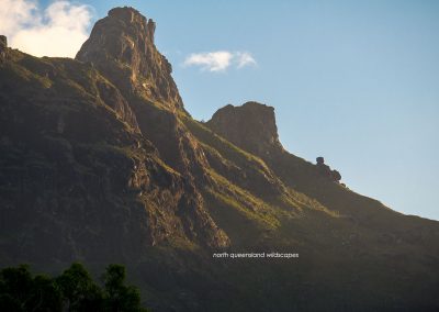 Hinchinbrook-Is-(29)