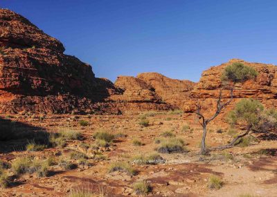 Kings Canyon (1)