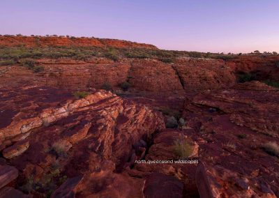 Kings Canyon (10)