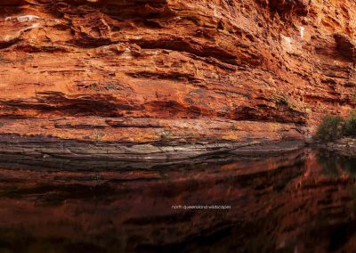Kings Canyon 11
