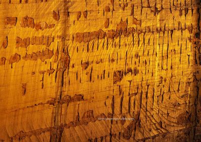 Kings Canyon (3)