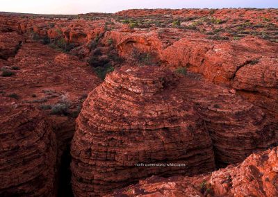 Kings Canyon (4)
