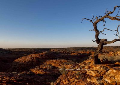 Kings Canyon (7)