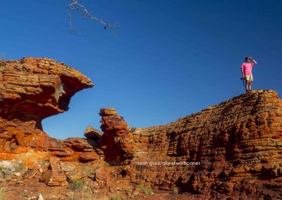 Kings Canyon (9)