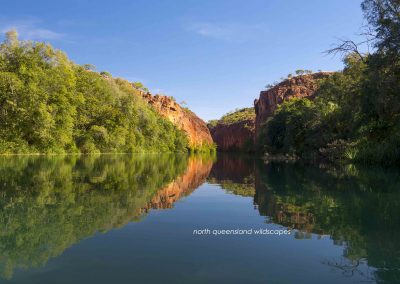 Lawn Hill Gorge (5)