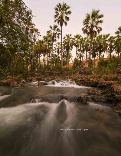 Lawn Hill Gorge (8)