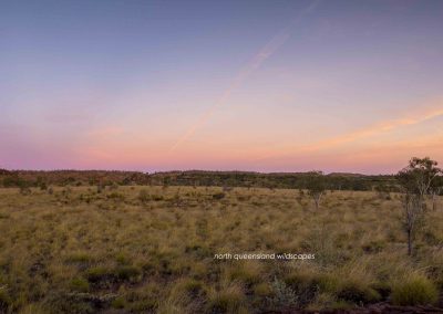 Lawn Hill Landscapes (6)
