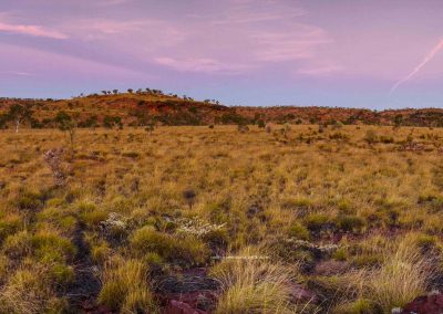 Lawn Hill Landscapes (7)