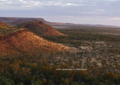 Lawn Hill Landscapes (8)