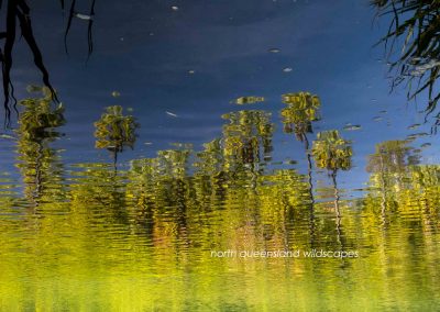 Lawn Hill Reflections (2)