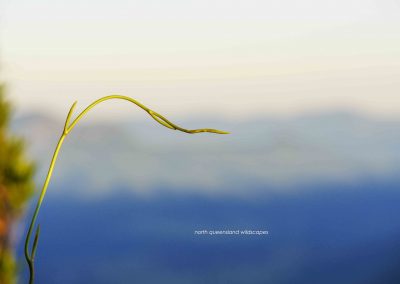Living Art (3)