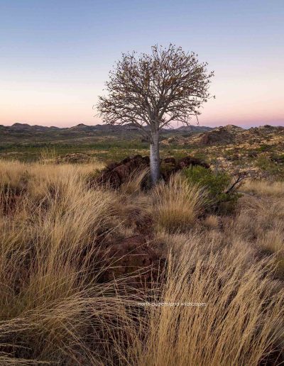 Mt Isa Hills (1)