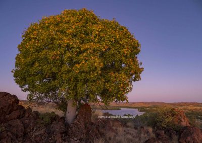 Mt Isa Hills (3)
