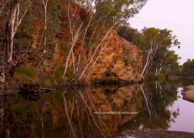 Ormiston Gorge (14)