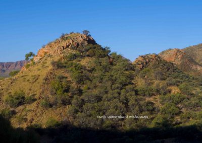 Ormiston Gorge (2)