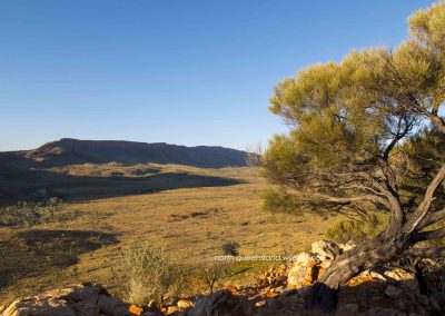 Ormiston Gorge (3)