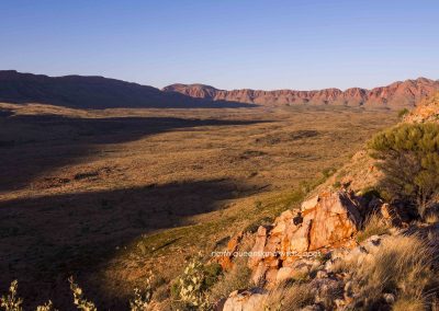 Ormiston Gorge (4)