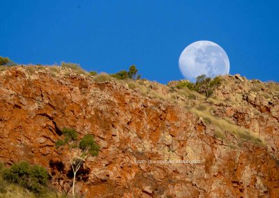 Ormiston Gorge (6)