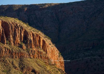 Ormiston Gorge (8)