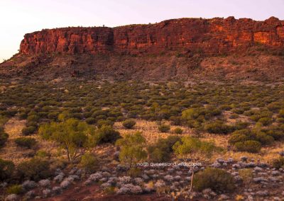 Palm Valley Kalarranga Rocks (12)