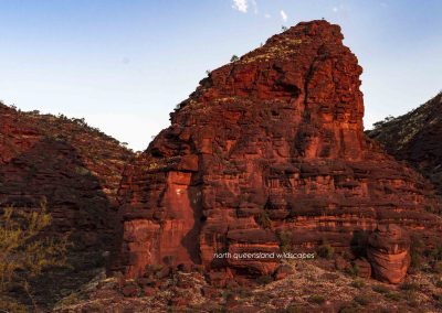 Palm Valley Kalarranga Rocks (13)