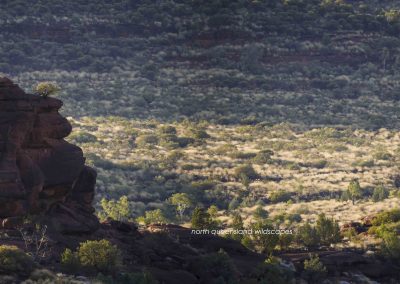 Palm Valley Kalarranga Rocks (14)