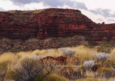 Palm Valley Kalarranga Rocks (1)_1