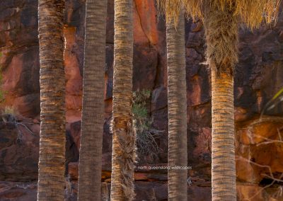 Palm Valley Kalarranga Rocks (2)