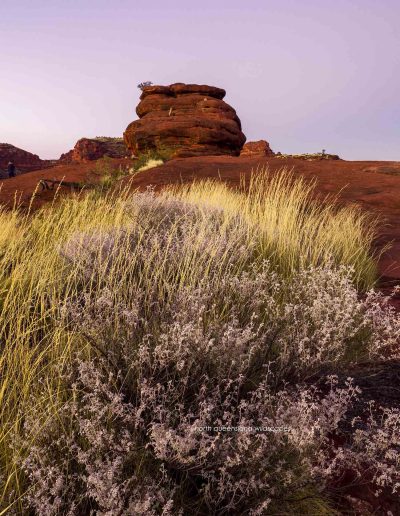 Palm Valley Kalarranga Rocks (5)