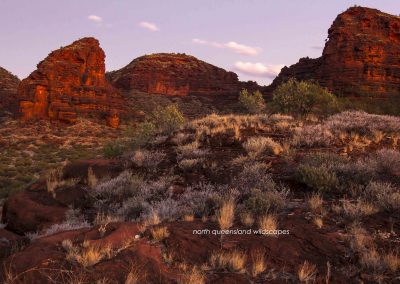 Palm Valley Kalarranga Rocks (9)