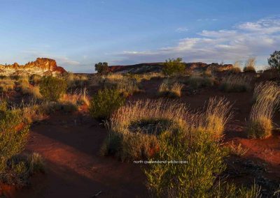 Rainbow Valley (4)