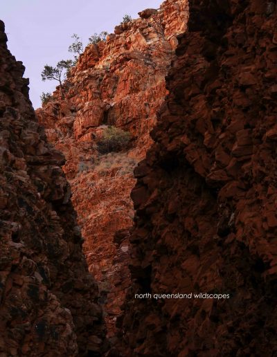 Redbank Gorge (2)