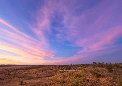 Riversleigh Area (1)
