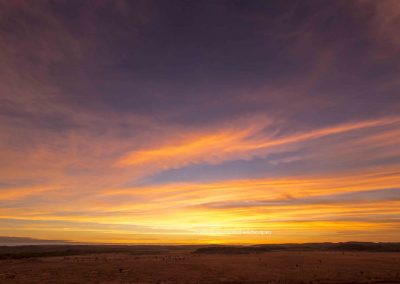 Riversleigh Area (2)