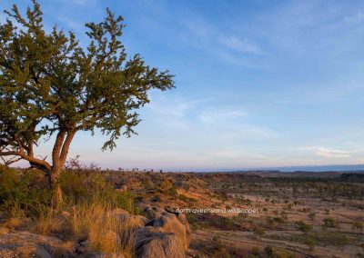 Riversleigh Area (3)