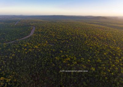 The Peninsula Development Road