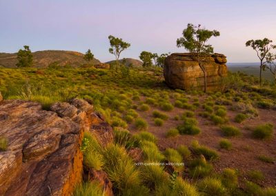 The Spinifex Plateau (2)
