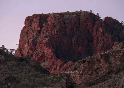 Trephina Gorge